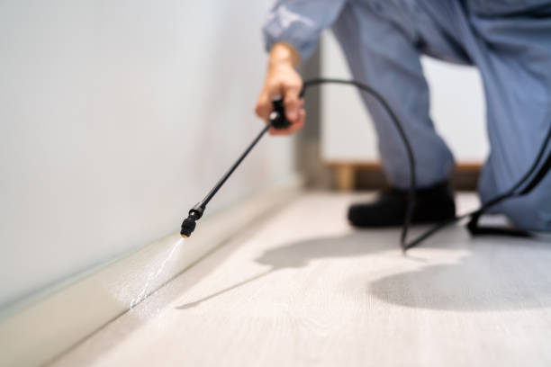 Licensed Pest Control service in Warsaw, IL - Show Me Pest Control