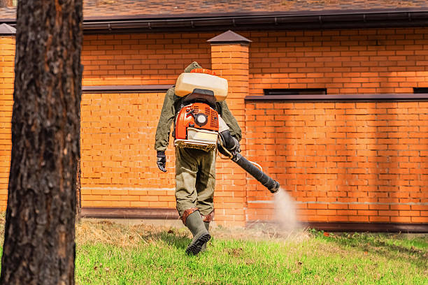 Bed Bug Clearance Verification and Documentation in Warsaw